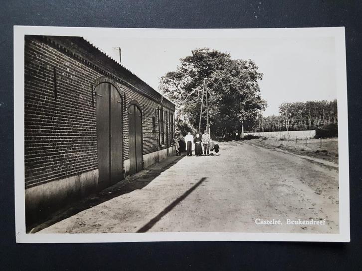Ansichtkaart Castelré ( Baarle-Nassau ) Beukendreef, Verzamelen, Ansichtkaarten | Nederland, Ongelopen, Noord-Brabant, 1920 tot 1940