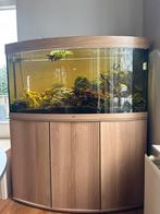 Juwel aqaruim 120 te koop, Dieren en Toebehoren, Ophalen of Verzenden, Zo goed als nieuw, Grind, Zand of Voedingsbodem