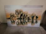 Glazen Schilderij Olifanten, 50 tot 75 cm, Ophalen of Verzenden, Zo goed als nieuw, Schilderij