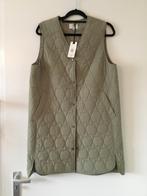 Nieuwe Silvercreek Bodywarmer Maat XL / 44🌸, Kleding | Dames, Ophalen of Verzenden, Nieuw, Groen