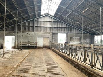 Gedemonteerde spanten en gordingen gebruikte stal/schuur beschikbaar voor biedingen