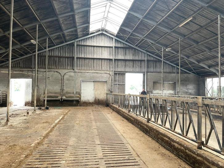 Gedemonteerde spanten en gordingen gebruikte stal/schuur, Doe-het-zelf en Verbouw, Overige Doe-het-zelf en Verbouw, Gebruikt, Ophalen of Verzenden