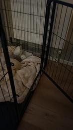 Puppyren, 2 dagen gebruikt, Ophalen of Verzenden, Zo goed als nieuw