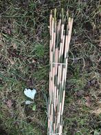 Bamboe stengels in bossen van 25 stuks lengte 2,5 meter, Tuin en Terras, Tuinschermen, Ophalen of Verzenden, Zo goed als nieuw