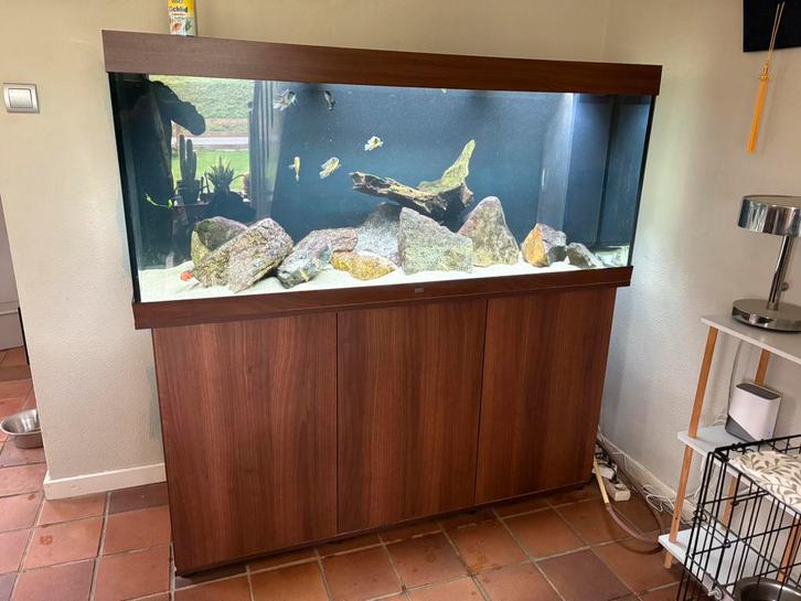 Juwel rio 450 aquarium met meubel, Dieren en Toebehoren, Vissen | Aquaria en Toebehoren, Zo goed als nieuw, Leeg aquarium, Ophalen