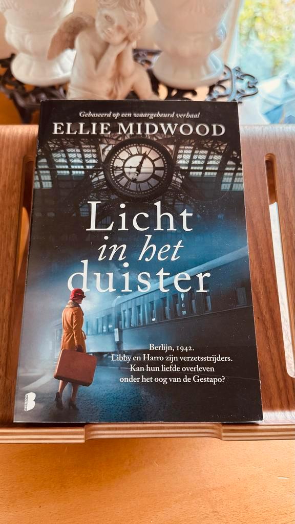 Licht in het duister - Ellie Midwood, Boeken, Romans, Zo goed als nieuw, Nederland, Ophalen of Verzenden