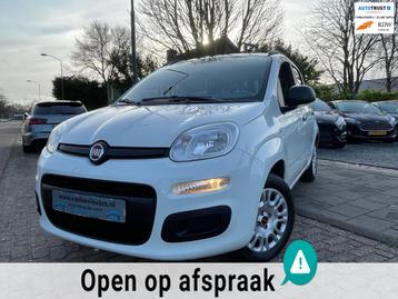 Fiat Panda 1.2 Edizione Cool A-C Elek Pakket Hoge instap Nw  beschikbaar voor biedingen