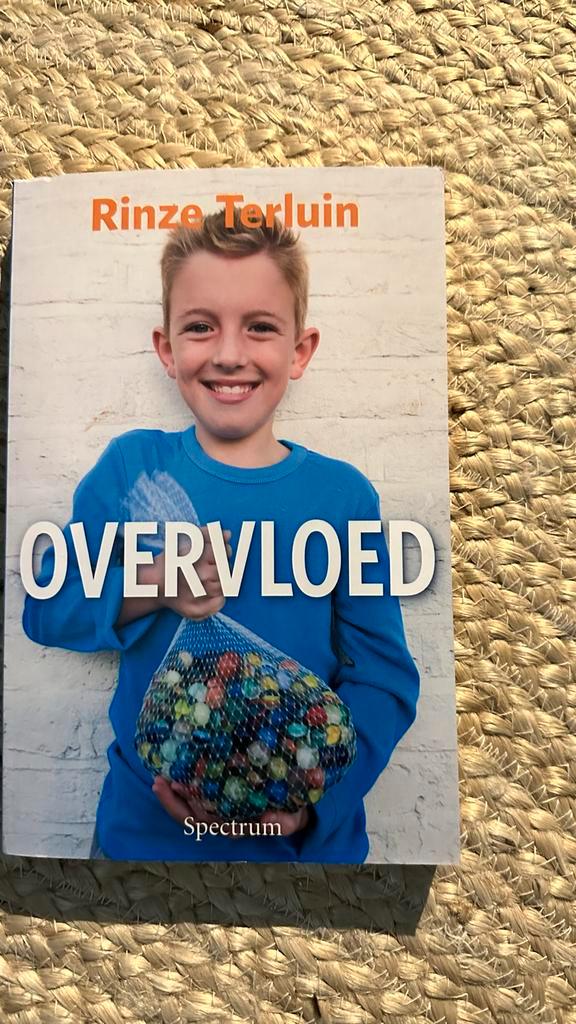 Overvloed - Rinze Terluin, Boeken, Romans, Gelezen, Nederland, Ophalen of Verzenden