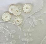 Franse parelmoer knoopjes, Ophalen of Verzenden, Zo goed als nieuw, Knoop of Knopen