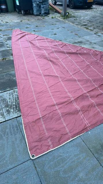 Bruinne fok beschikbaar voor biedingen