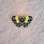 Kledingspeld - Pin - Brooch - Enamel Pin - Flower Moth, Nieuw, Verzenden