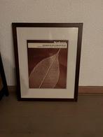Houten fotolijst met afbeelding, Ophalen, Minder dan 50 cm, 50 tot 75 cm, Zo goed als nieuw