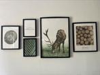 Fotolijsten Ribba Ikea, Ophalen, Gebruikt, Hout, Minder dan 50 cm