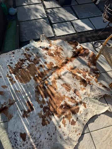 Unieke koeienhuid / koeienkleed beschikbaar voor biedingen