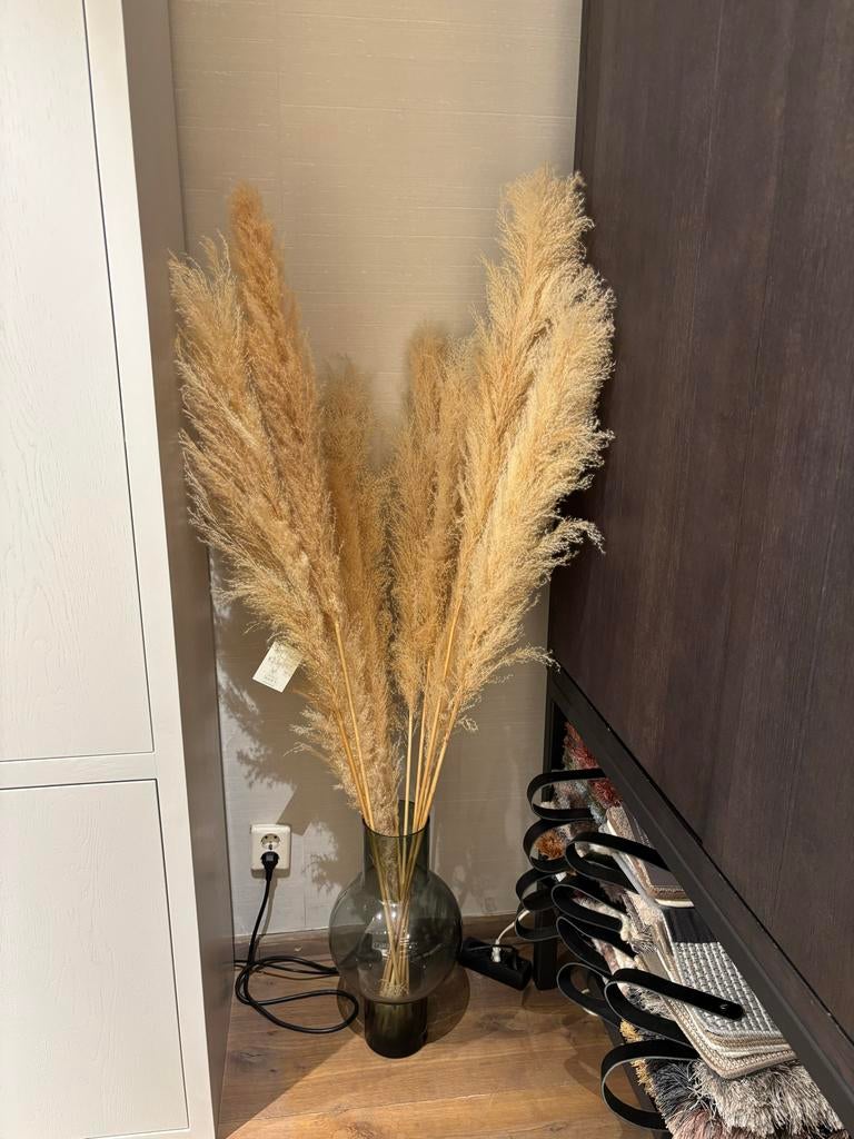 Pampasgras in vaas, Ophalen, Zo goed als nieuw