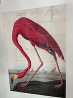 IXXI poster flamingo, Rechthoekig Staand, Deurposter of groter, Ophalen of Verzenden, Zo goed als nieuw