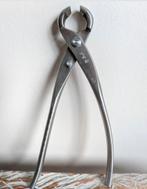 Bonsai Knobbeltang, Tuin en Terras, Planten | Bomen, Bloeit niet, Halfschaduw, Minder dan 100 cm, Overige soorten