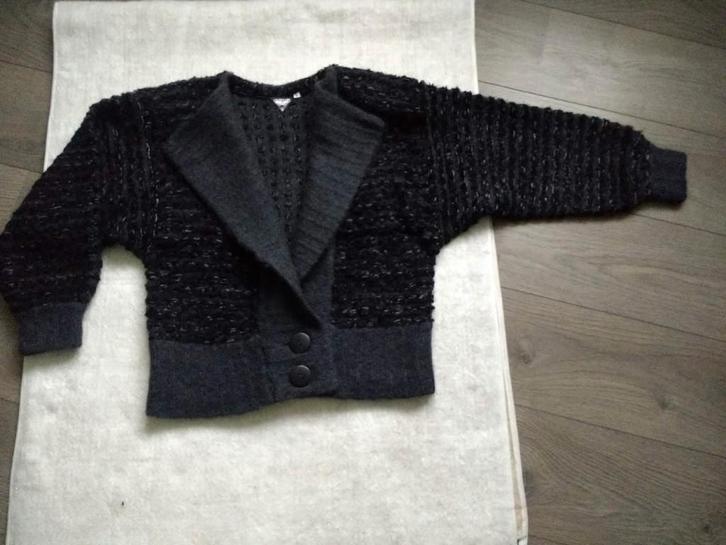 Vest met schoudervulling, Kleding | Dames, Truien en Vesten, Gedragen, Maat 38/40 (M), Grijs, Ophalen of Verzenden