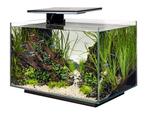 Superfish Quadro 70 Pro met slim led systeem, Ophalen, Zo goed als nieuw, Leeg aquarium