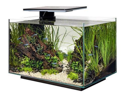 Superfish Quadro 70 Pro met slim led systeem, Dieren en Toebehoren, Vissen | Aquaria en Toebehoren, Zo goed als nieuw, Leeg aquarium