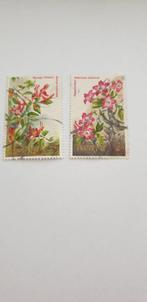 5047 kenia flowers, Verzenden, Overige landen