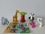 Duplo 10904 Babydieren, Ophalen of Verzenden, Zo goed als nieuw, Duplo, Www.lego.com/nl-nl/service