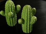 2 cactussen, Ophalen of Verzenden, Zo goed als nieuw
