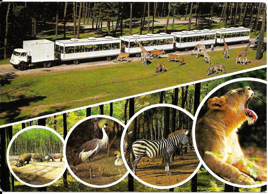 Ansichtkaart	Arnhem	Burgers' Zoo	Burgers' Safaripark	5-luik, Verzenden, 1960 tot 1980, Gelopen, Gelderland