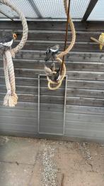 0-1 witmasker valkparkiet, Dieren en Toebehoren, Vogels | Parkieten en Papegaaien, Vrouwelijk, Parkiet, Geringd