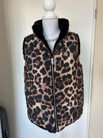 Reversible Bodywarmer beschikbaar voor biedingen