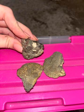 Pyriet - Fool's Gold beschikbaar voor biedingen