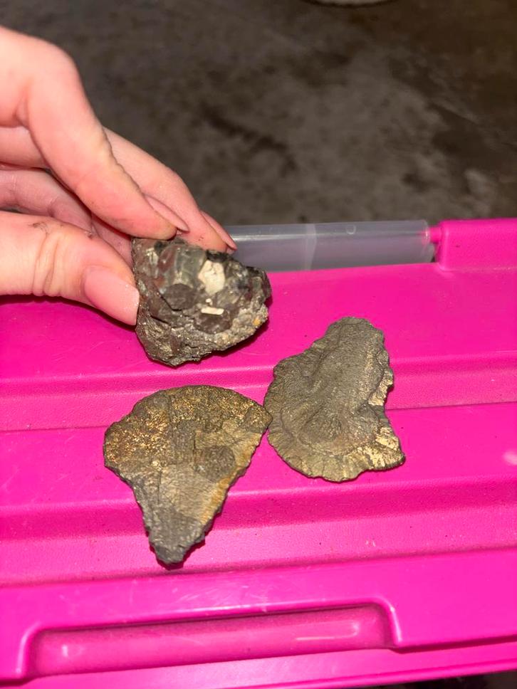 Pyriet - Fool's Gold, Verzamelen, Mineralen en Fossielen, Mineraal, Ophalen of Verzenden