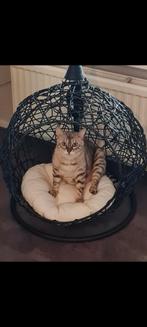 Katten hangstoel, Dieren en Toebehoren, Ophalen, Zo goed als nieuw
