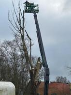 Gratis uw boom of bomen laten kappen/ zagen of snoeien?, Tuinonderhoud of Snoeiwerk