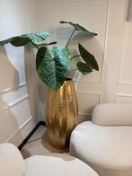 Grote gouden vaas met kunstplant, ongeveer 120 cm, Ophalen, 100 tot 150 cm, Overige soorten, Halfschaduw