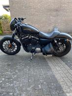 Harley Davidson Sportster 883 iron, Motoren, Motoren | Harley-Davidson, Chopper, Particulier, Meer dan 35 kW