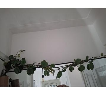 Kunst plant 2 x intratuin  beschikbaar voor biedingen