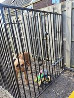 kennel delen, Dieren en Toebehoren, Ophalen, Gebruikt, 110 cm of meer, 100 cm of meer