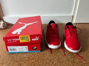 Puma Ferrari gymschoenen sportschoenen maat 34 beschikbaar voor biedingen