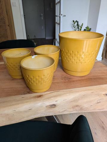 3 Gele bloempotten beschikbaar voor biedingen