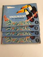 Vogelpracht in Avifauna Boeken, Boeken, Ophalen of Verzenden, Gelezen, Vogels