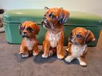 Royal Delft Keramiek 3 Boxers hondjes '70, Ophalen of Verzenden