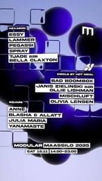 1 ticket Modular Maassilo 15-11, Eén persoon