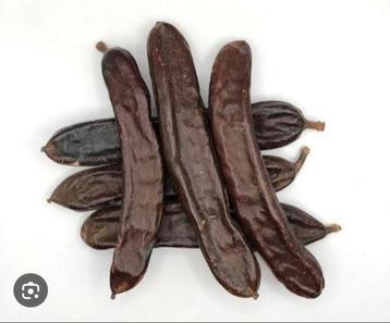 Johannesbrood peulen bio (Carobe / Algorroba) Superfood ESP  beschikbaar voor biedingen