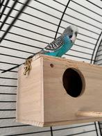 vogelkooi met grasparkit, Ophalen, Zo goed als nieuw, Metaal, Vogelkooi