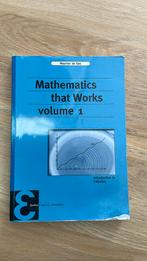 Mathematics that works volume 1, Boeken, Studieboeken en Cursussen, Ophalen of Verzenden, Zo goed als nieuw, Maarten de Gee