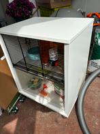 Hamsterhok hamsterkooi gratis, Dieren en Toebehoren, Knaagdieren en Konijnen | Hokken en Kooien, Ophalen, Zo goed als nieuw