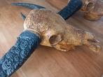 Grote skulls bull longhorn schedel kunststof draak, Huis en Inrichting, Woonaccessoires | Wanddecoraties, Ophalen