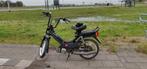 Puch z one, blauw kenteken, Ophalen, Gebruikt, 1 versnellingen, Maxi
