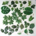 Veel kunstbladeren: diverse groottes, vormen en tinten groen, Ophalen of Verzenden, Nieuw